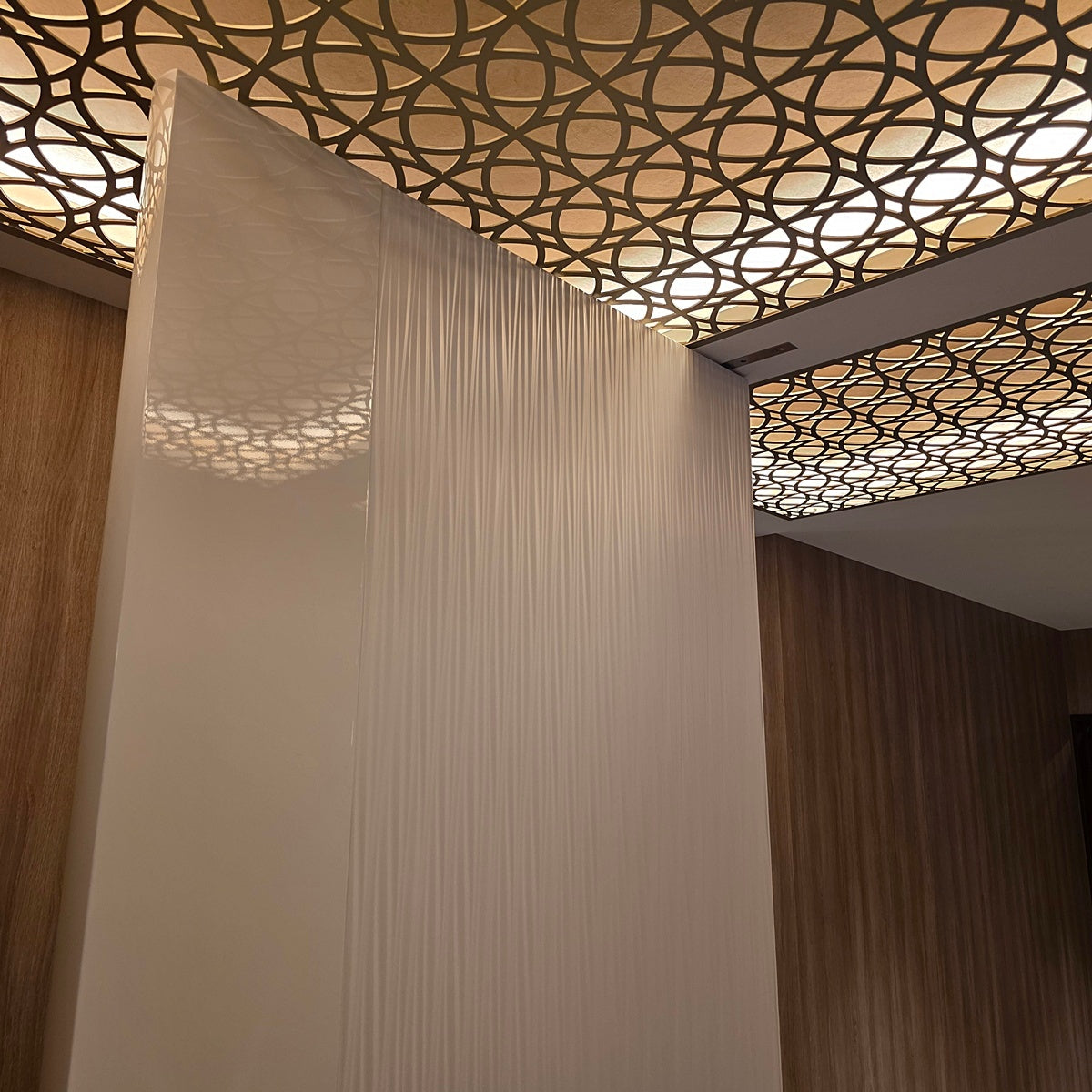 【STF02】造作 デザインリビングドア 建具