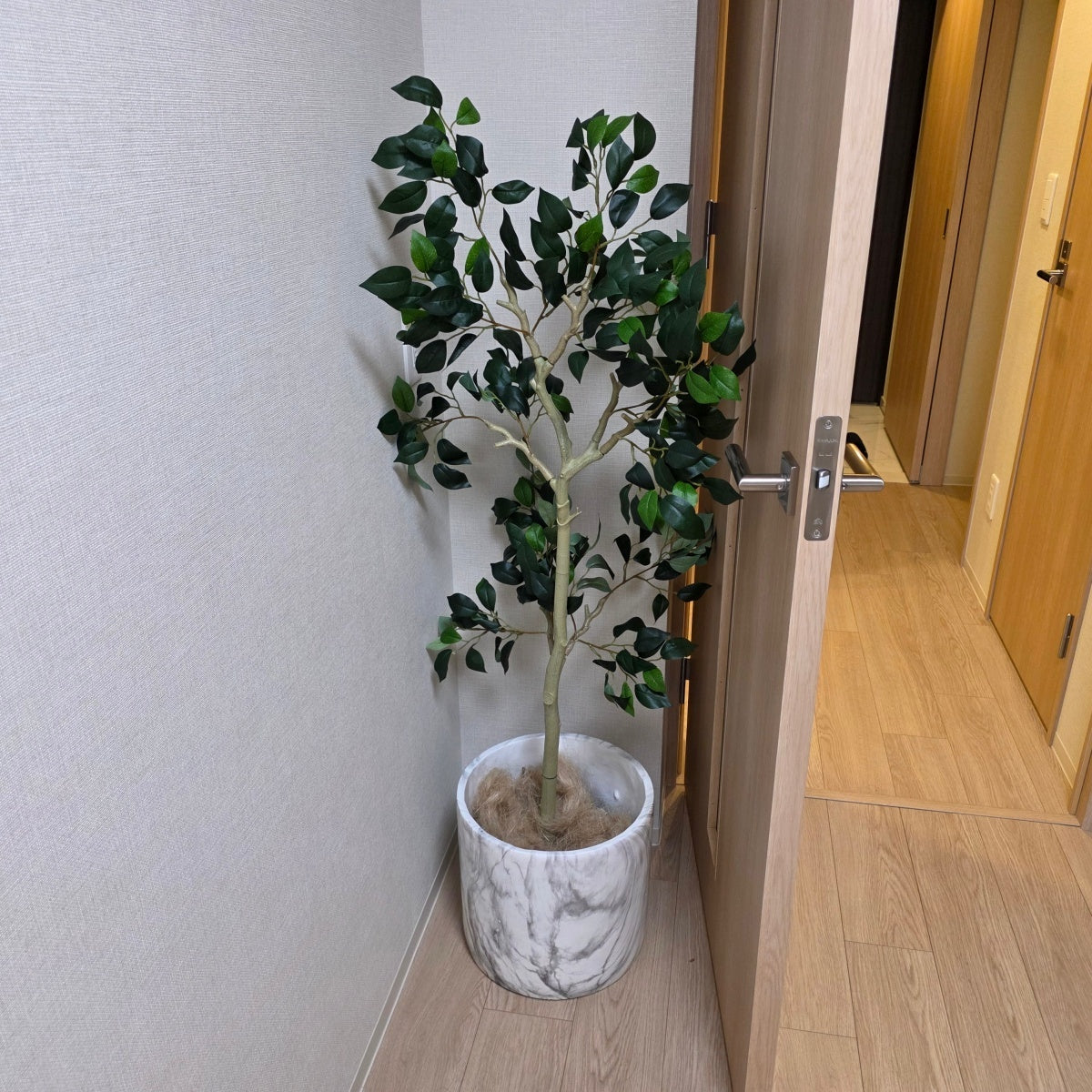 【RVS701-11-9】観葉植物鉢