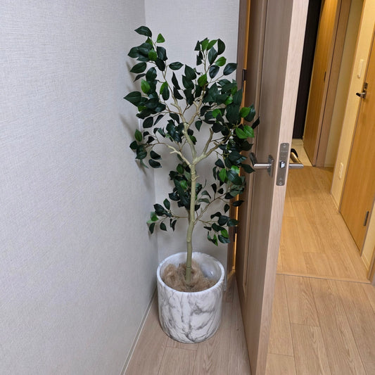 【RVS701-11-9】観葉植物鉢