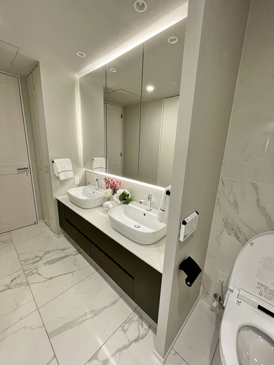 【TBB17】タカラスタンダード ツインボウル洗面化粧台 ダブルボウル 二連ボウル ベッセル洗面ボウル ミラーキャビネット