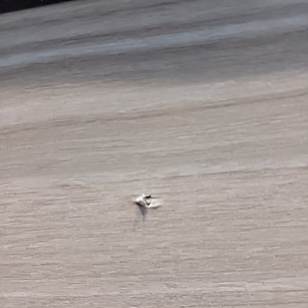 【TFU01_1】 ジュエリーケース付 チェスト