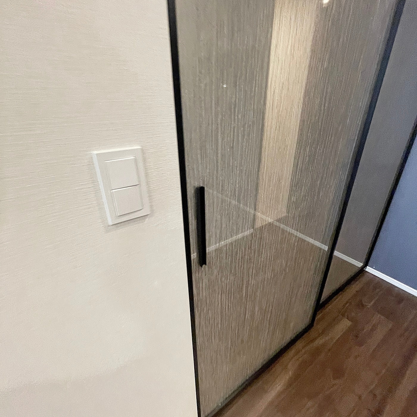 【SCKJ56】 RAIKI製 ガラス吊戸 2枚組 可動間仕切り