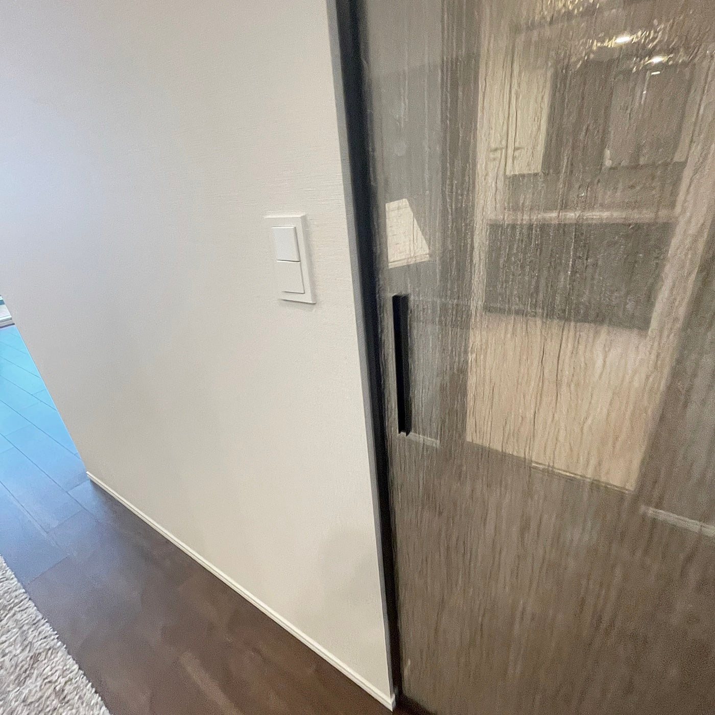 【SCKJ56】 RAIKI製 ガラス吊戸 2枚組 可動間仕切り