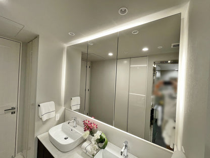 【TBB17】タカラスタンダード ツインボウル洗面化粧台 ダブルボウル 二連ボウル ベッセル洗面ボウル ミラーキャビネット