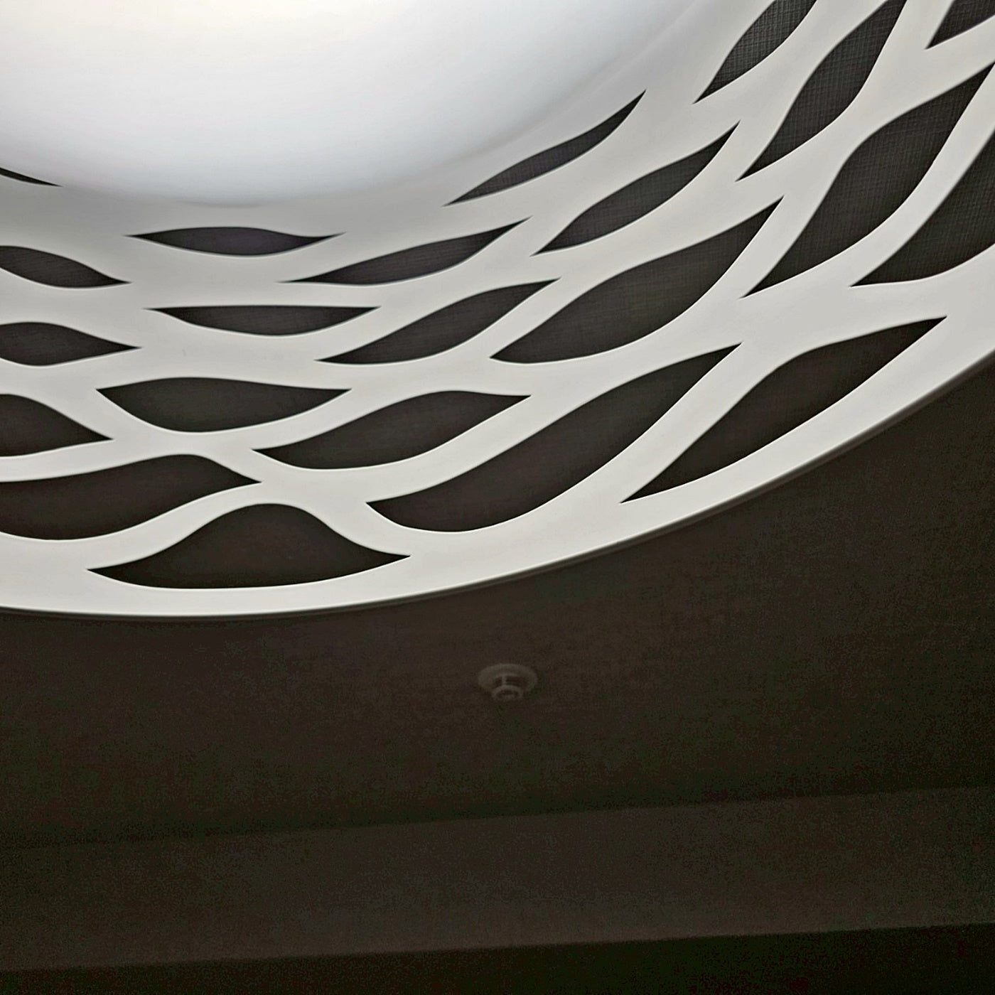 【YLS19】ODELIC オーデリック シーリングライト OL291548R